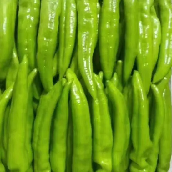 Fresh Red Pepper From China at Best Price