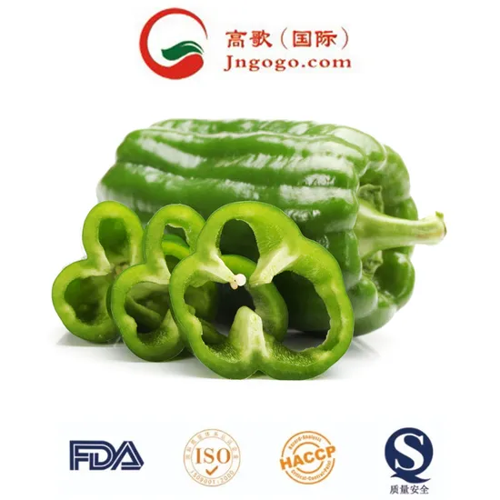 Fresh Green Bell Sweet Pepper Good Quality