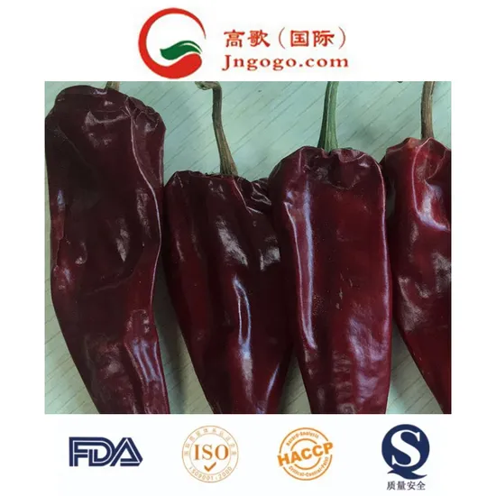 New Crop High Quality Red Chilli Yidu Chilli for Exporting