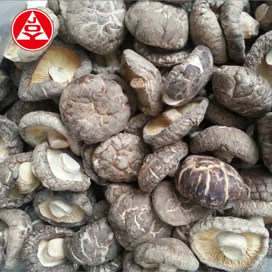 China Origin Factory First-Hand Delicious Health Dry Dried Shiitake Mushroom