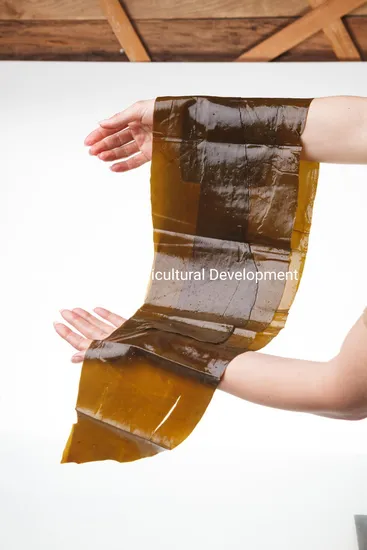Dried Shredded Seaweed Laminaria Sheet for SPA