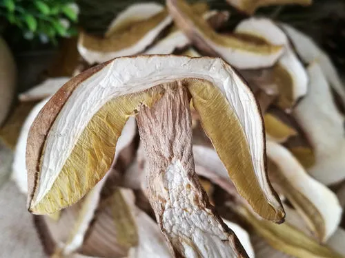 Dried Mushroom Edible Fungus Boletus Edulis Porcini