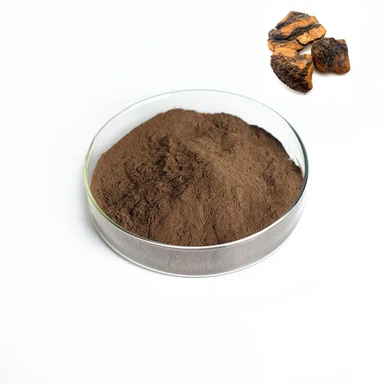 Best Price Food Grade Polysaccharide Organic Chaga Extract Chaga Powder Mushroom Extract