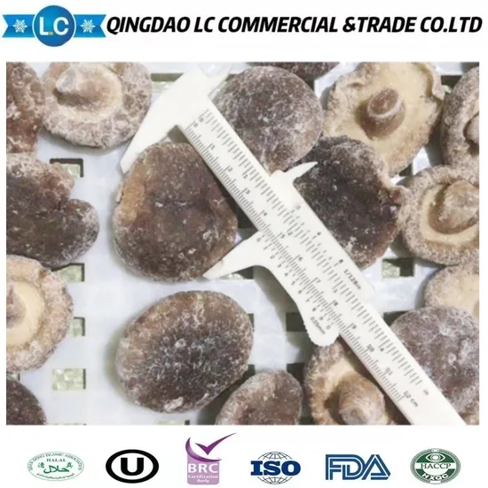 Quality Grade a Fresh Frozen Shiitake Mushroom Fresh Shiitake Mushrooms