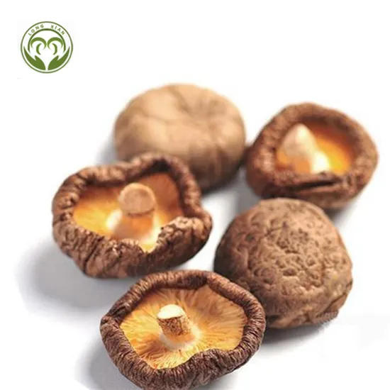 Wholesale Cheap Price Healthy Dried Shiitake Mushroom Dehydrated Mushroom