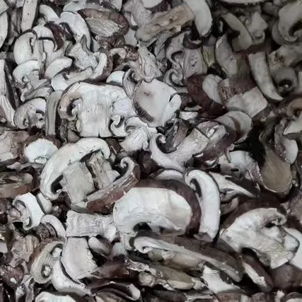 Wholesale Dried Cremini, Agaricus Bisporus, Portobella Supplier