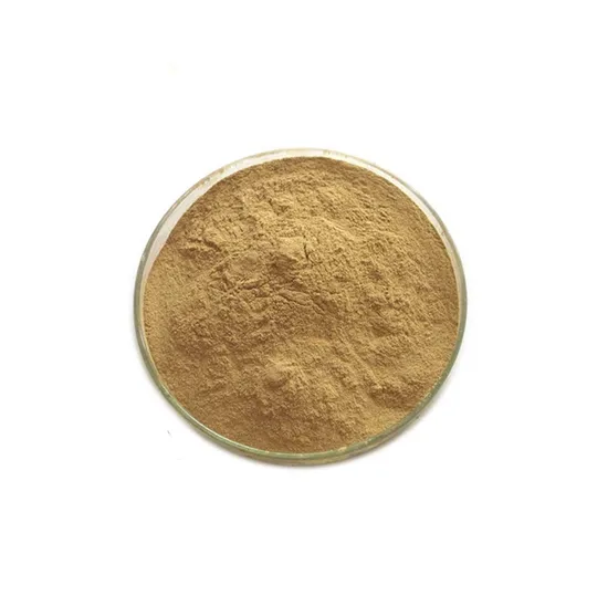 Polysaccharides Lion′s Mane Mushroom Extract Supplement Brown Fine Powder