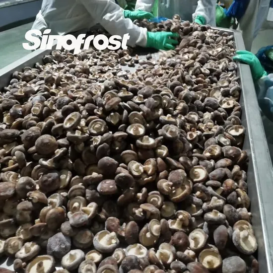 Stunning Roasted Seaweed for Making Sushi