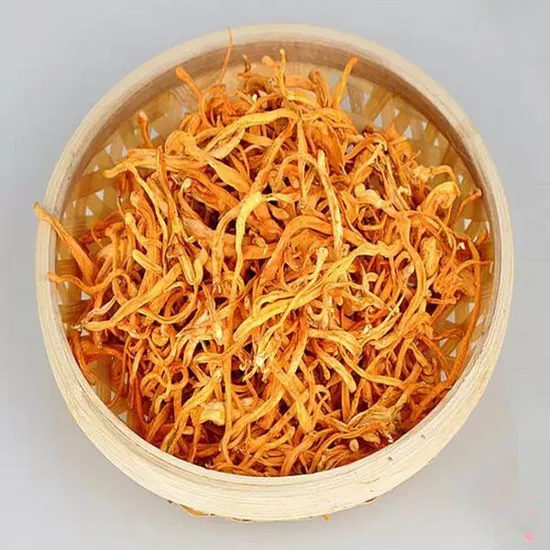Wholesale Dried Cordyceps Militaris Mushroom Fruit Body From China