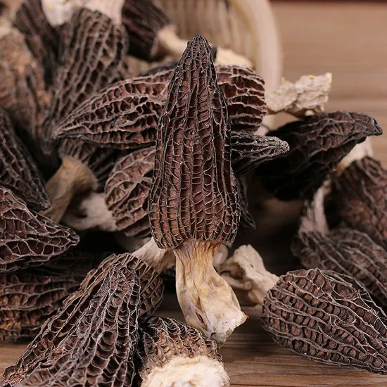 Factory Direct High Quality Whole Mushrooms Dried Morchella Mushroom Price Morel for Sale