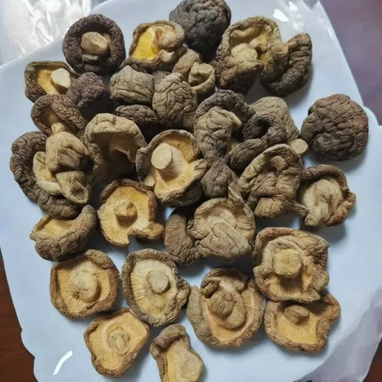 Dried Shiitake Mushroom Specialty Dried Shiitake Mushrooms New Shiitake Mushrooms Mountain Bulk Wholesale