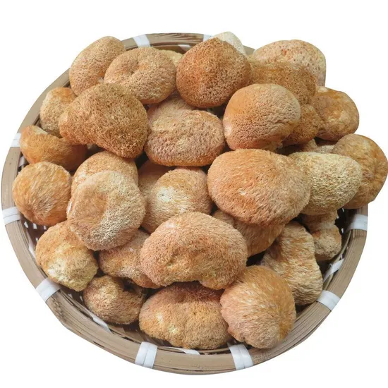 Wholesale Dried Hericium Erinaceus, Lions Mane, Medicinal Mushroom Supplier