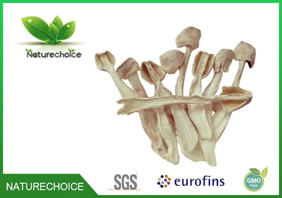 Coprinus Comatus, Dried Coprinus Comatus Sliced, Chinese Supplier for Coprinus Comatus