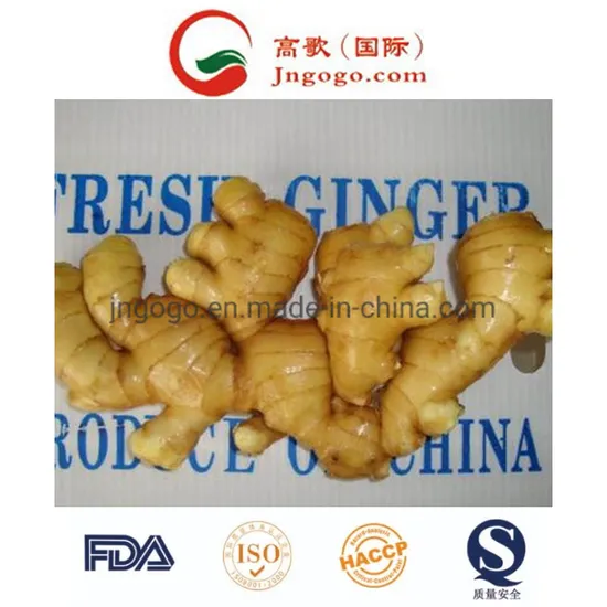 Super Quality Fresh Ginger (150G and up)