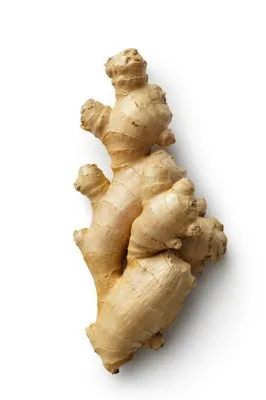 High Quality Fresh Ginger with Reasonable Price