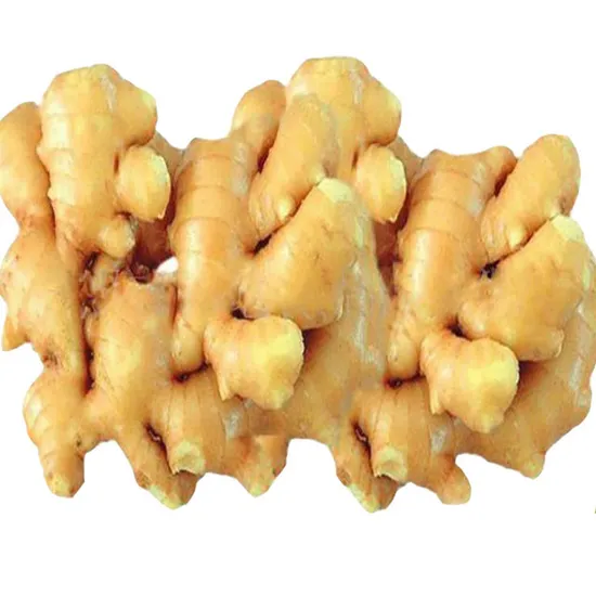 Wash Fresh Ginger or Air Dry Ginger Original From Shandong China