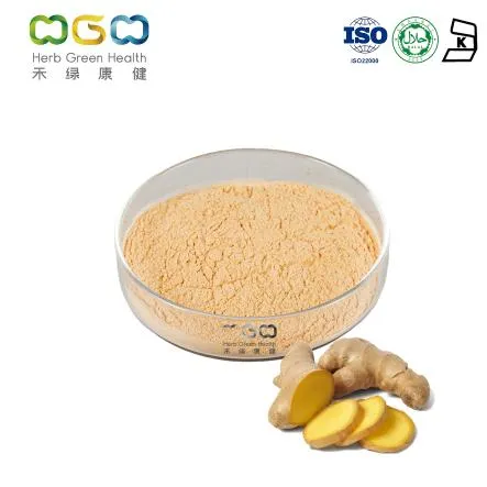 China Manufacturer Wholesale Raw Materials Factory Direct Supply Dried Ginger Powder
