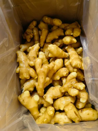 New Arrival Wash Fresh Ginger Exporters China Queen of Ginger