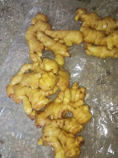 2020 Red Top Fresh Ginger