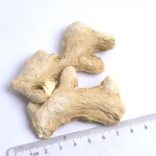 Low Sulfur Extremely Hot Sale Chinese Origin Dehydrated Ginger Whole with High Quality
