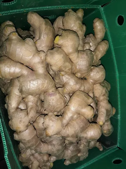 China Fresh Ginger 150g 300g