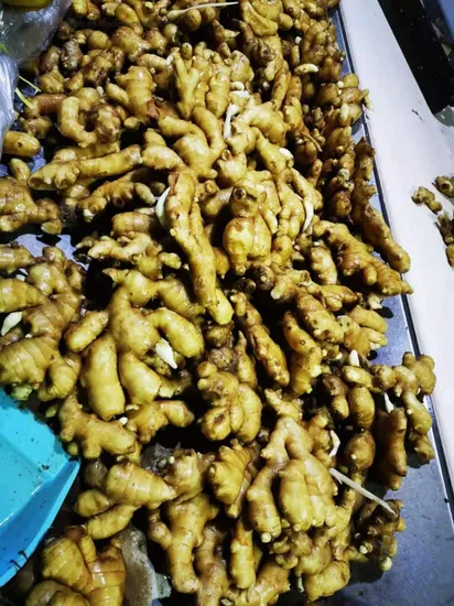 2019 New Crop Fresh Air Dried Ginge 150g up