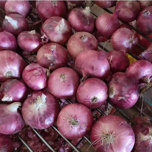 Chinese Export Good Quality Yellow and Red Onion