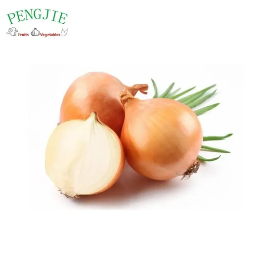 Wholesale Yellow Onion From China with Top Quality