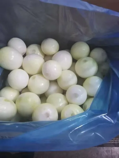 China New Crop Fresh Yellow Onion Peeled Fresh Vegetables Onion with Carton