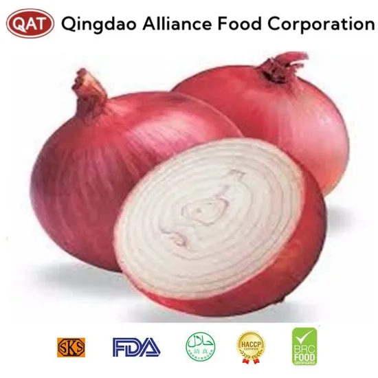 Premium IQF Frozen Onion Chunk Dices for Culinary Excellence