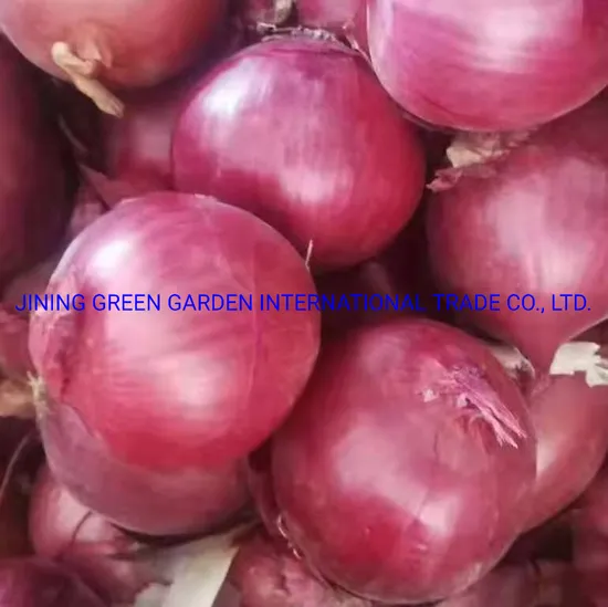 Chinese Red Onion Hot Selling New Crop Chinese Wholesale Price 5cm 6cm 7cm 8cm 9cm up 10kg 20kg Mesh Bag Fresh Red Yellow White Onion From Factory