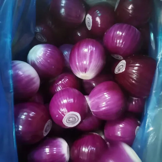 China New Crop Fresh Yellow Onion Peeled Yellow/White/Red Onion with Good Price