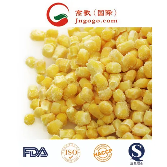 IQF High Quality Sweet Corn