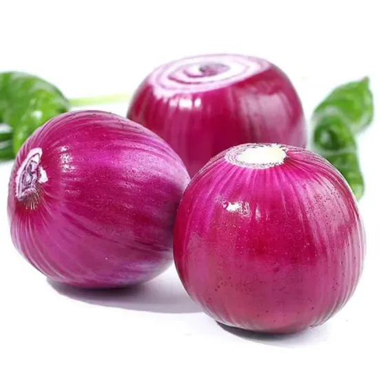 Hot Sale High Quality in Bulk Peeled Red Onion Fresh Peeled Onion for Export
