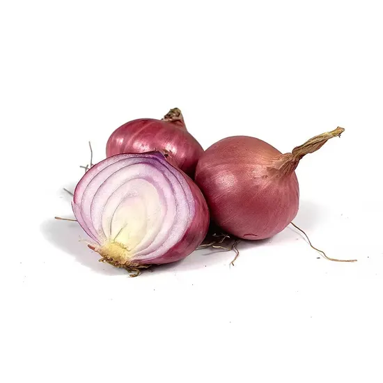 Premium Shandong Red and Yellow Onions - Farm-Direct Quality