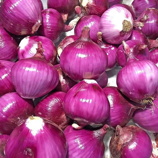 Fresh Red Onion Importers Fresh Vegetables Onion Factory Price