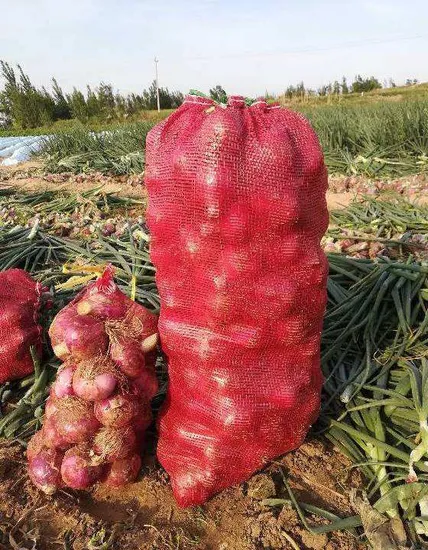 Hot Selling Chinese Natural Vegetable Fresh Yellow Onion
