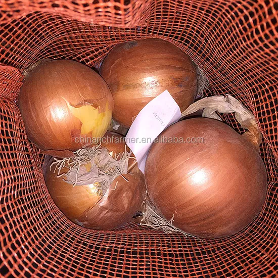 New Crop High Quality Fresh Yellow Onion Mesh Bag with Good Price