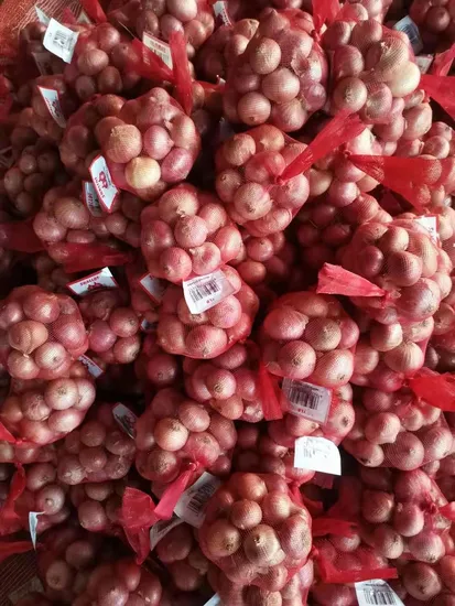 Fresh Red /White and Yellow Onion From Chinese Supplier