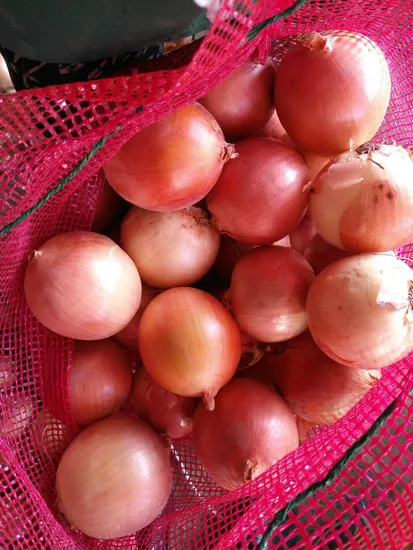 Chinese New Crop Fresh Vegetable Peeled Purple Onion Yellow Onion