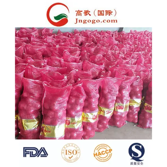 4-7cm Top Quality Fresh Red Onion Large Supplier