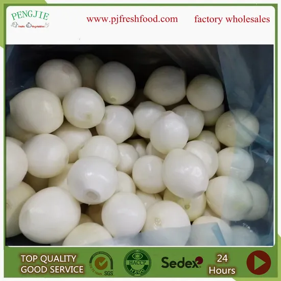 Peeled Onion 80-100mm 20kg Carton for Factory