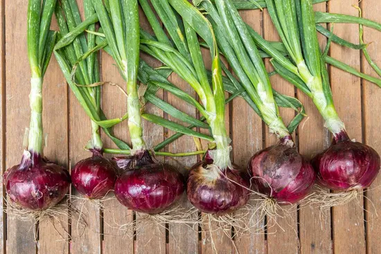 Good Quality Yellow Onion, Fresh Organic Produce From China