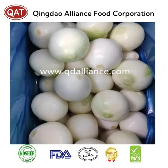 Wholesale Factory Fresh White Peeled Onion in Mesh Bag Carton