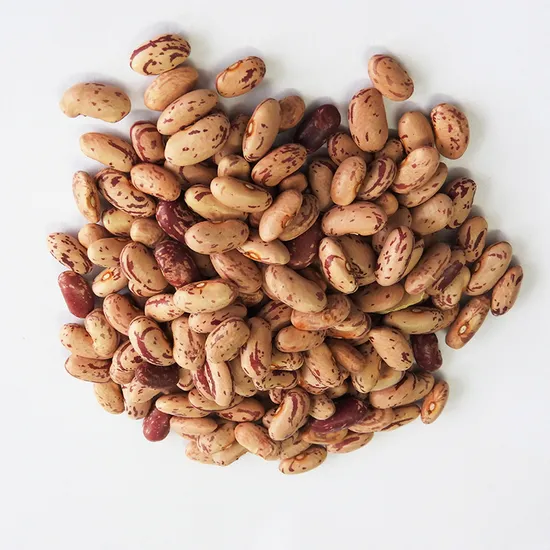 Hot Sale Organic Light Speckled Kidney Beans with Export Kidney Beans