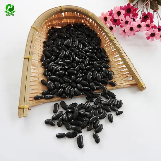 Wholesale 100% Natural Kidney Beans Export Little Black Kidney Bean