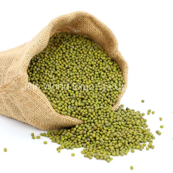 Wholesale Dried Green Beans 4.2mm for Food