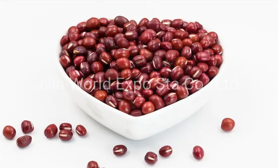Dried Red Beans 4.0mm From Professional Factory to Export