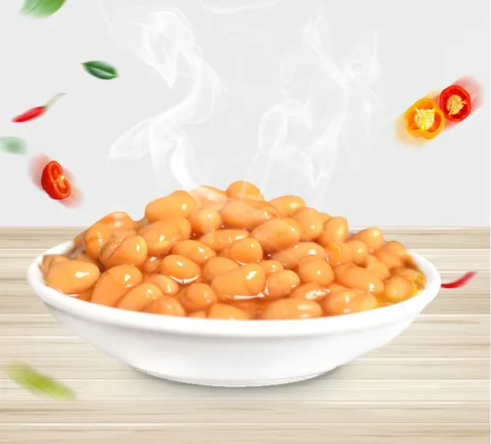 Hot Selling Canned Baked White Kidney Beans in Ketchup Wholesale
