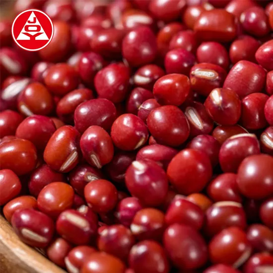 Wholesale Factory Food Vegetable Freeze Dried Small Red Beans 4.0mm in OEM